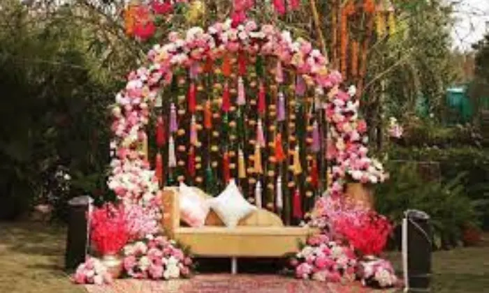 Patel Light  Sound
