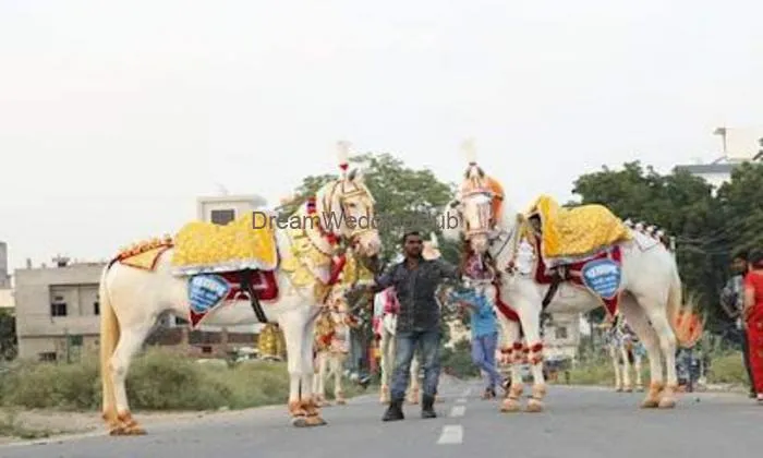 Pathan Ghodi & Baggiwale Udaipur