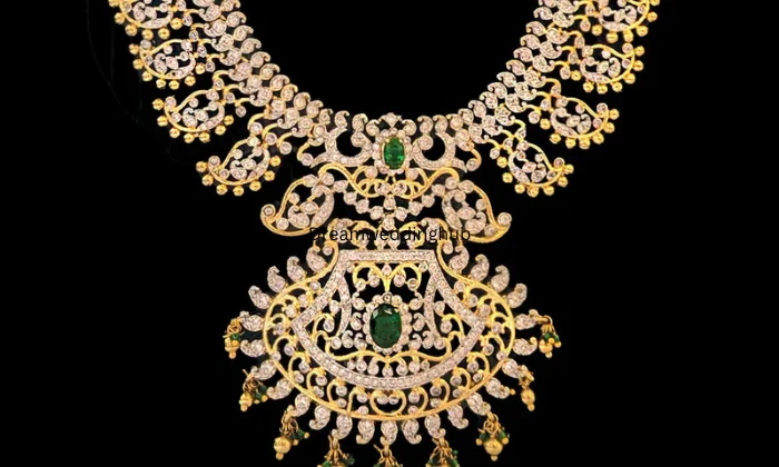 Pcn Jewelry
