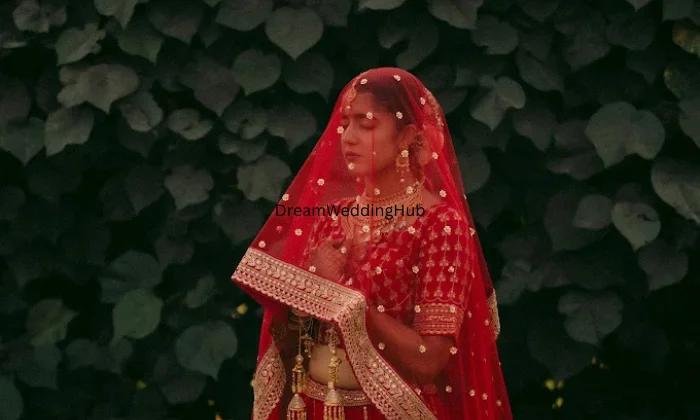 Photovivah Studio