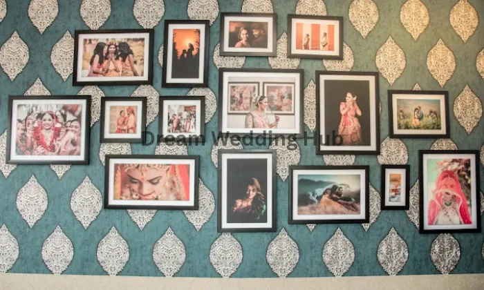 Picture Tree Studio