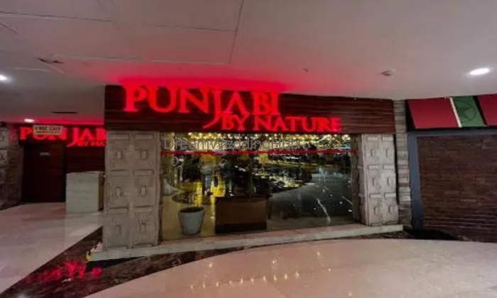 Punjabi By Nature