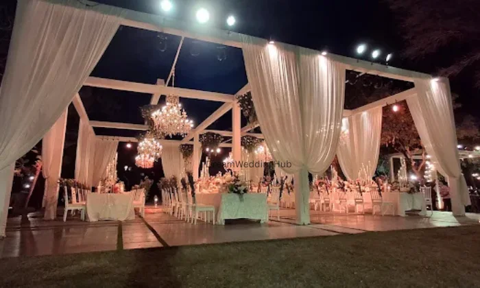 Purple Grapes Events