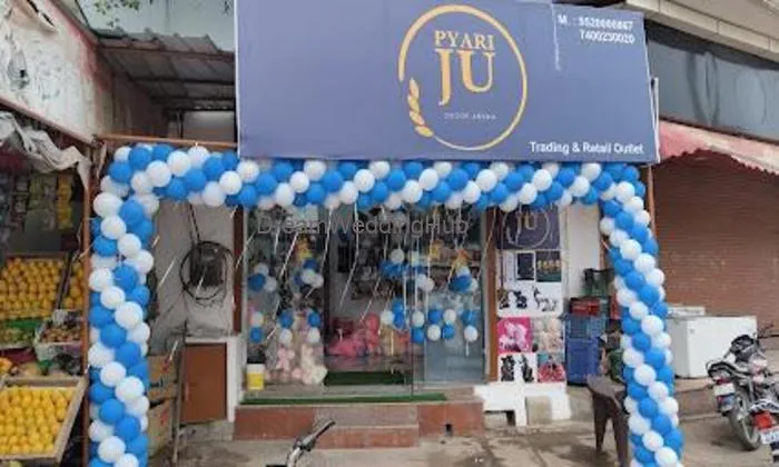 Pyari Ju Decor Arena