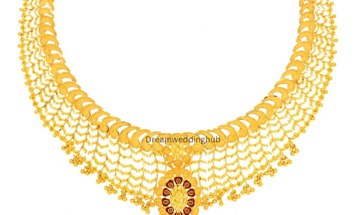 Raj Abhushan Jewellers