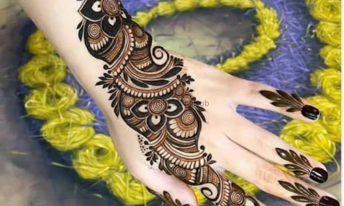 Raj Mehandi Artist