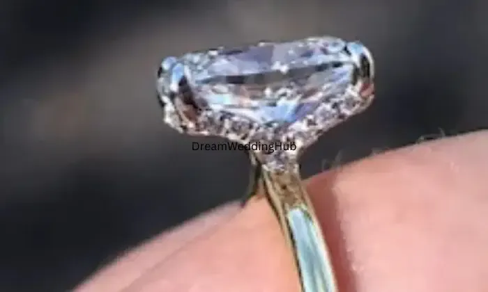 Rajdhani Jewellers