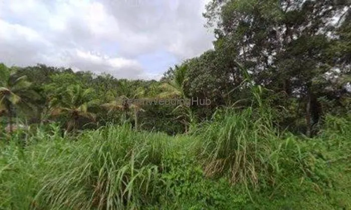 Raji M