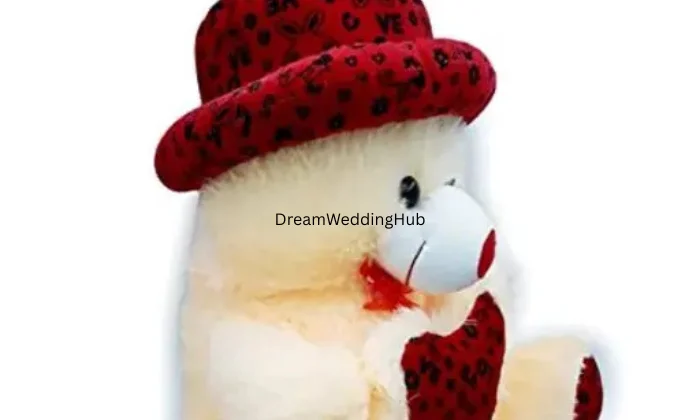 Rajshree Gift  Toys