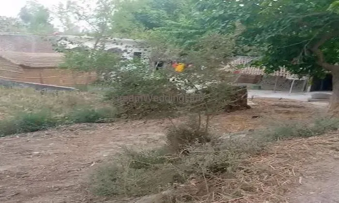 Raju Kumar