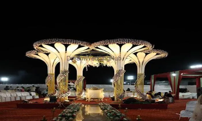 Ranisa Party Plot