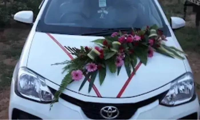 Ranthambore Car Rental