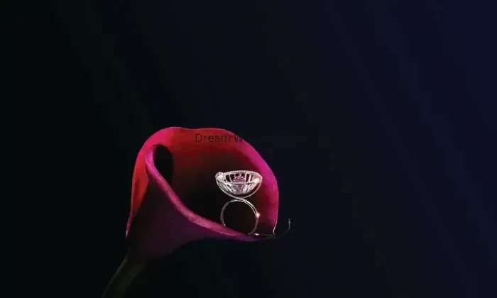 Reliance Jewels