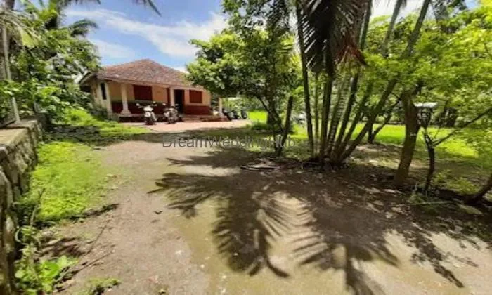 Rumao Farm House
