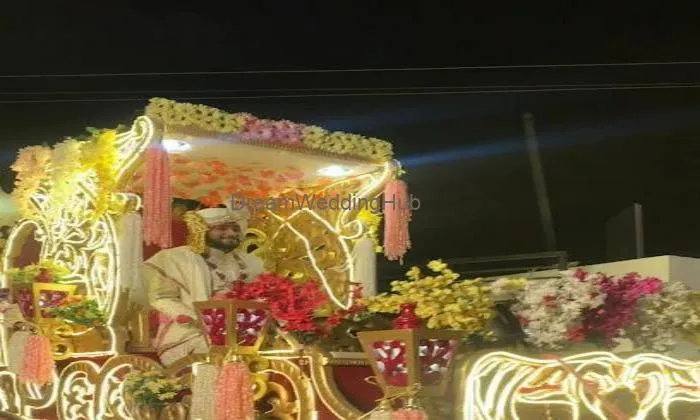 Saini Ghodi Baggi Wala