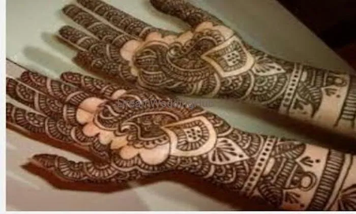 Sajida Mehndi