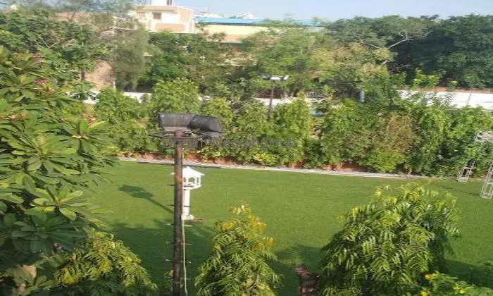 Sajnii Party Plot