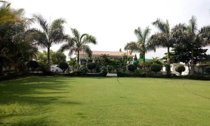 Sardar Farm Sardar Farm