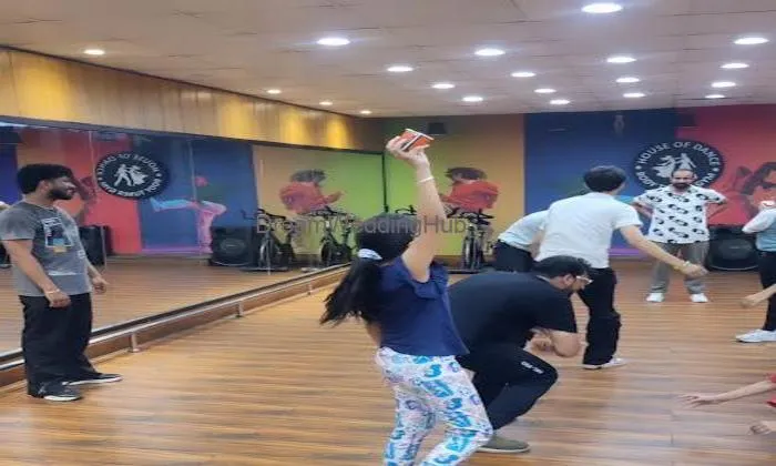 Saroj Khan's Dance Academy (sr Events Planner)