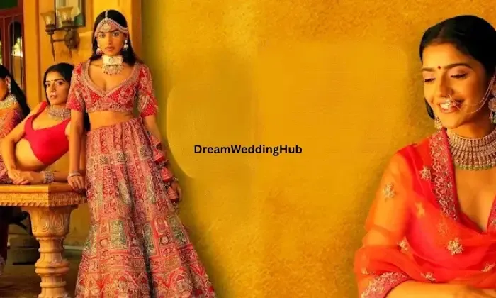 Satyarthi Sarees