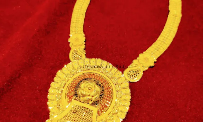 Sawansukha Raipur