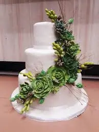 Seema Cake Point And Bakery