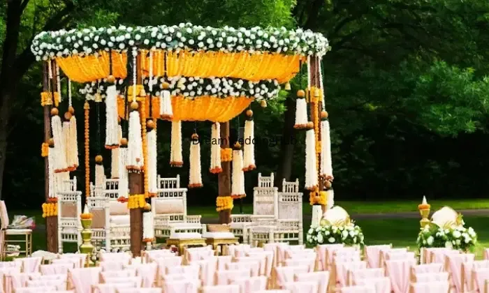 Shaadi On Board