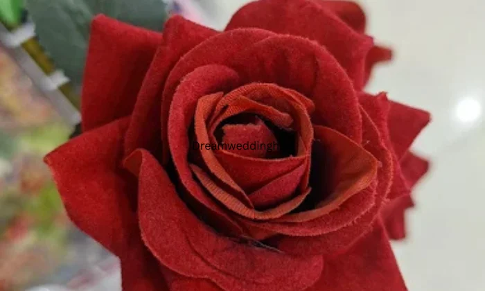 Shagun Gift Gallery