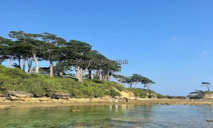Shagun Tours