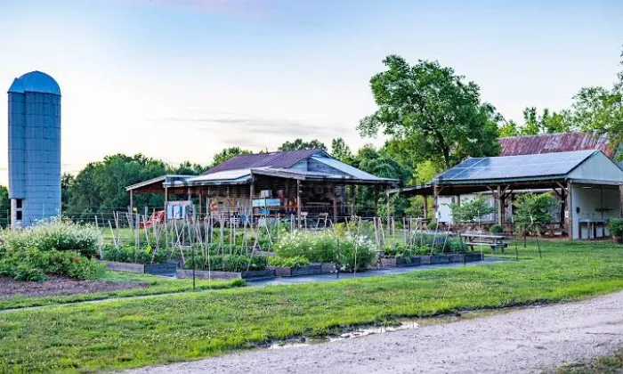Shalom Farms