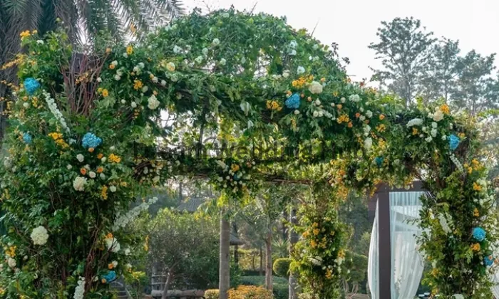 Shanaya Decoration Shanaya Decoration