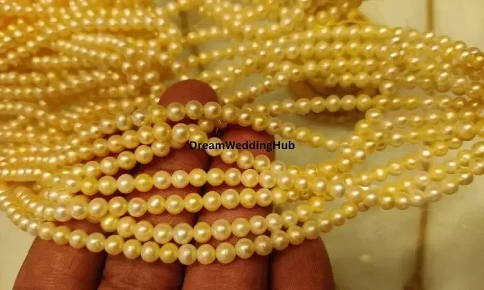Shree Sai Gold Palace