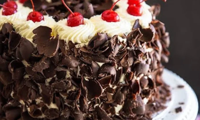 Shree Shyam Baker's