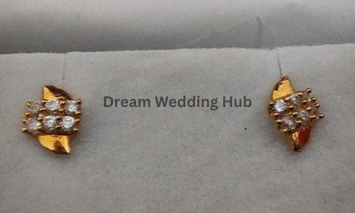 Shree Swaminarayan Jewellers