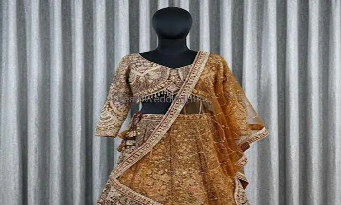 Shriji Lehnga Collection Shriji Lehnga Collection