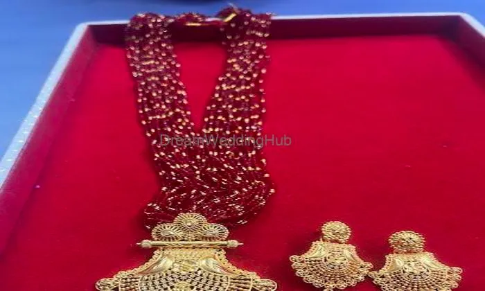 Shriji Traditional Hub