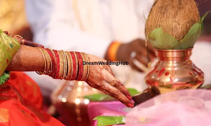 Shrikant Rathod Photography Shrikant Rathod Photography