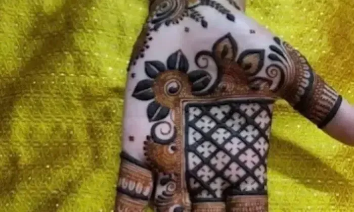 Shubhangini  Mehndi  Art