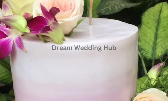 Shubhis Bake A Wish