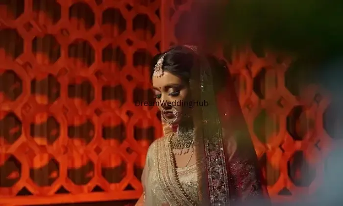 Sony Videography