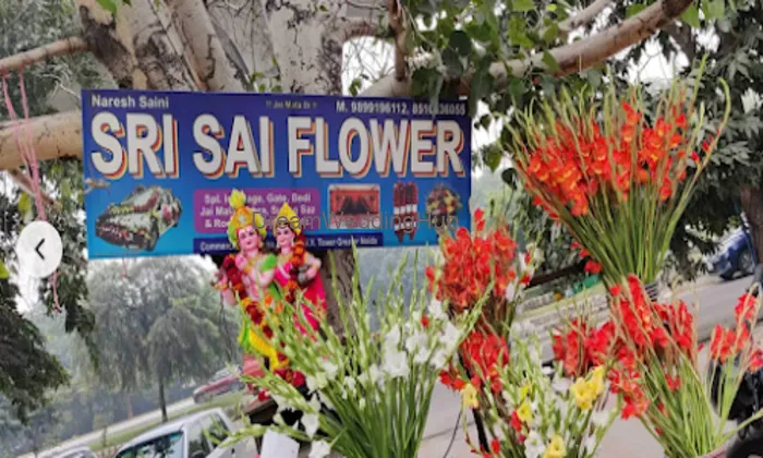 Sri Sai Flower