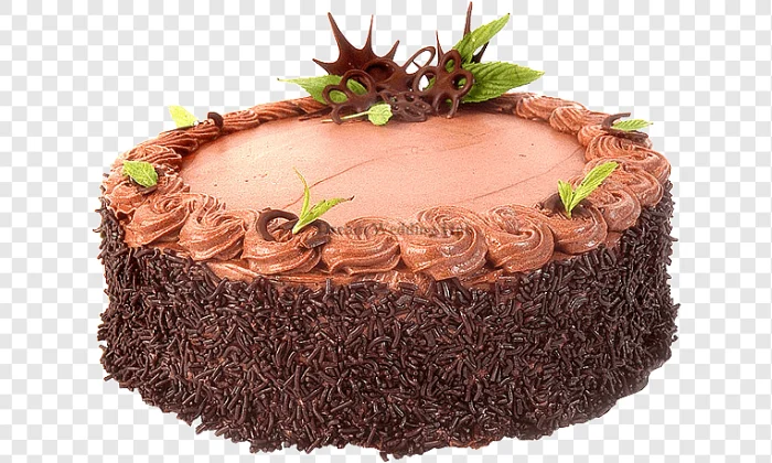 Stand Up Bakery