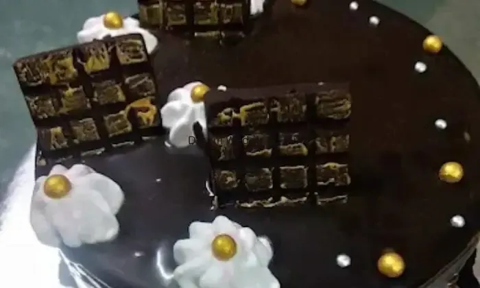 Sujatas Cakes  Art
