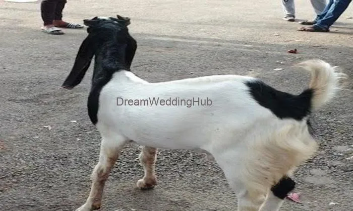 Suleman Caterers