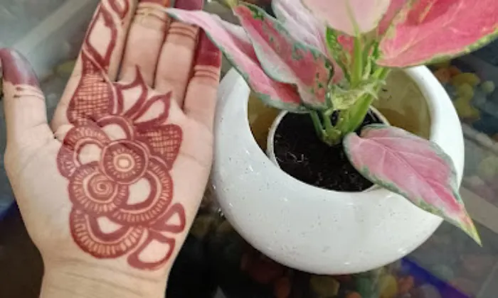 Suraj Tattoo And Mehandi Art
