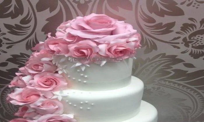 Swaran Bakers And Confectioners Swaran Bakers And Confectioners