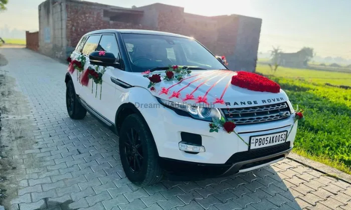 Tara Luxury Wedding Cars