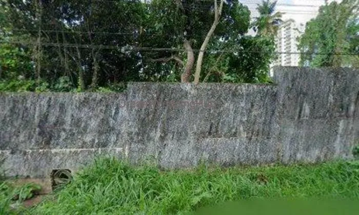 Tatvamasi Entertainment