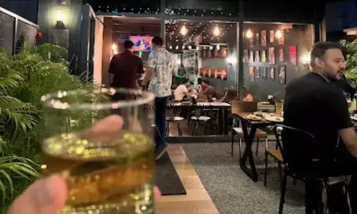 Ted Cafe  Bar