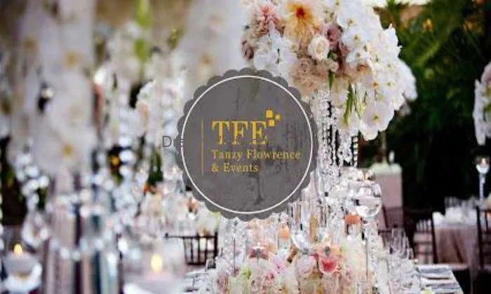 Tfe (destination Wedding Planning&decor)